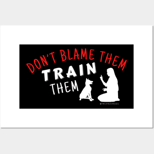 Don't Blame Them, Train Them! (Multi) Posters and Art